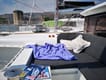 Sailing vacation in Croatia on Catamaran Calm Point | Yacht4Less