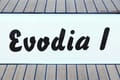Book Sailboat Evodia 1 for your sailing holiday in Croatia | Yacht4Less