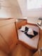 Sailboat Kalumina available to rent in Croatia | Yacht4Less