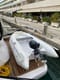 Plan your sailing vacation in Croatia with Motorboat Stardust | Yacht4Less