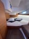 Charter a Sailboat Knotty Buoy rental in Croatia with or without a skipper | Yacht4Less