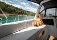 Sailboat Gold One  – best yacht rental in Croatia | Yacht4Less