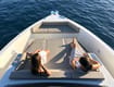 Explore Croatia aboard Motorboat Eragon | Yacht4Less