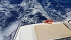 Discover Panama on Catamaran Zenith | Yacht4Less