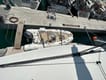 Best Price Guarantee for a Catamaran Mira yacht charter in Croatia | Yacht4Less