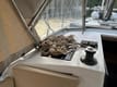 Enjoy Turkey with Sailboat Sail Corvus rental | Yacht4Less