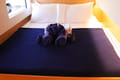 Charter a Catamaran Tropico rental in BVI with or without a skipper | Yacht4Less