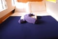 Best Price for a Catamaran Tropico rental in BVI | Yacht4Less
