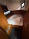Best Price Guarantee for a Sailboat Fuego del Viento yacht charter in Croatia | Yacht4Less