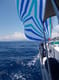 Book Sailboat Destiny for your sailing holiday in Greece | Yacht4Less