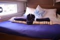 Sailing vacation in BVI on Catamaran Stellar | Yacht4Less