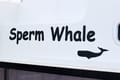Catamaran Sperm Whale available for yacht charter in Croatia | Yacht4Less
