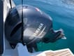 Book Motorboat Posejdon for your sailing holiday in Croatia | Yacht4Less