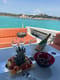 Enjoy Italy with Motorboat Goldfinger rental | Yacht4Less