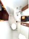 Best Price Guarantee for a Sailboat Finia yacht charter in Croatia | Yacht4Less