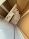 Sailboat Sea Star available to rent in Croatia | Yacht4Less