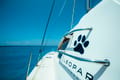 Book Catamaran Sunday Kinga for your sailing holiday in Tanzania | Yacht4Less