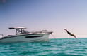 Motorboat NN – best yacht rental in Italy | Yacht4Less
