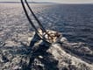 Charter a Sailboat Checkmate rental in Croatia with or without a skipper | Yacht4Less