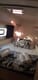 Catamaran Nala affordable yacht charter in Croatia | Yacht4Less