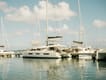 Experience BVI on Catamaran Luna Nova | Yacht4Less