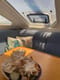 Plan your sailing vacation in Spain with Catamaran Ultreia | Yacht4Less