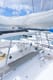 Sailing vacation in Caribbean on Catamaran Pura Vida | Yacht4Less