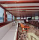 Charter a Gulet Stella Maris rental in Croatia with or without a skipper | Yacht4Less