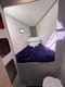 Best Price Guarantee for a Catamaran Playful yacht charter in BVI | Yacht4Less