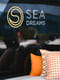 Best Price for a Catamaran Sea Dreams rental in Croatia | Yacht4Less