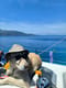 Sailboat Nala available to rent in Greece | Yacht4Less