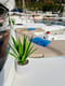 Sailing vacation in Croatia on Catamaran No Limit I | Yacht4Less