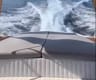 Rib Amormio – best yacht rental in Italy | Yacht4Less