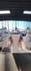 Sailboat Andiamo affordable yacht charter in Croatia | Yacht4Less