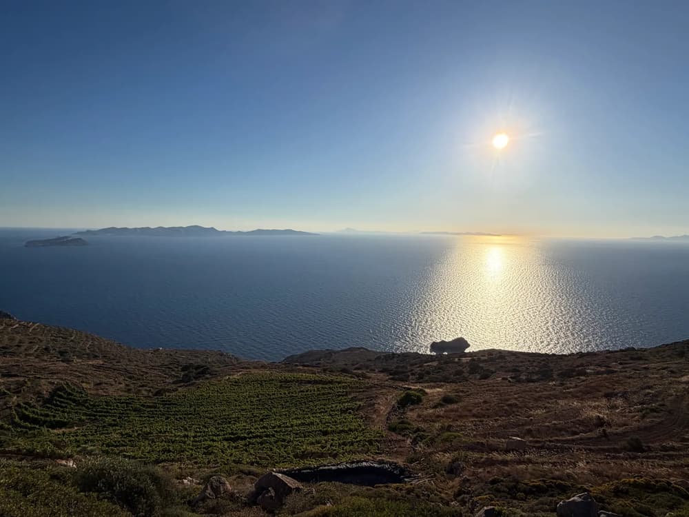 view of vineyard at Manalis winery in Sikinos