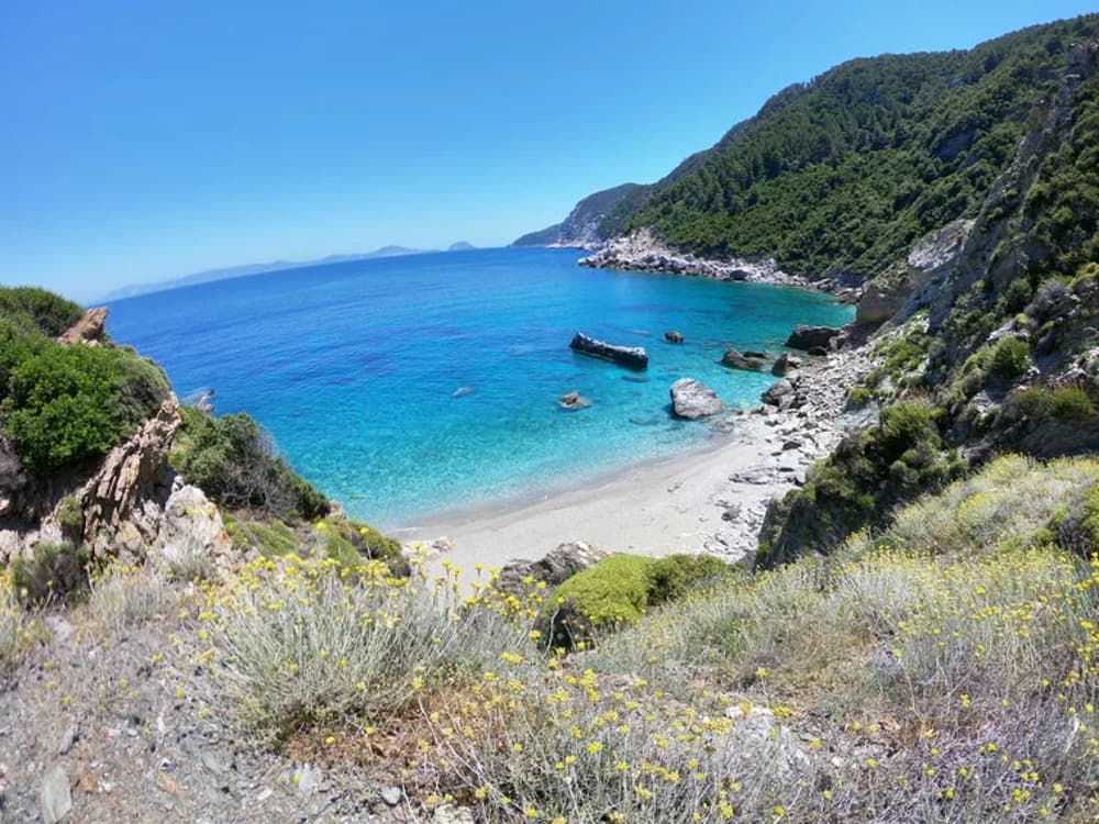 A tranquil beach surrounded by lush greenery in the Sporades region, an idyllic spot for sailing holidays in Greece.