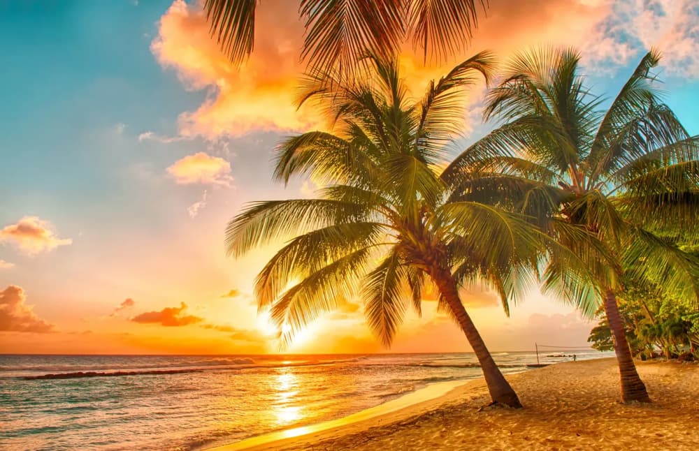 Bahamas beach