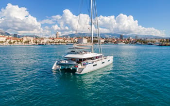 Adriatic Lion
