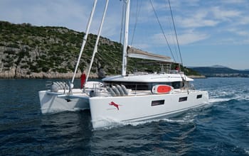 Adriatic Tiger