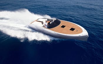 Adriatic Falcon