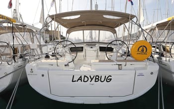 Ladybug