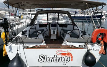 Shrimp
