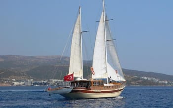 Remo