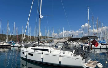 Sail Lynx
