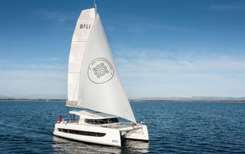 Northcat 38