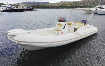n. 5