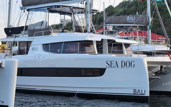 Sea Dog