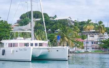 Pura Vida