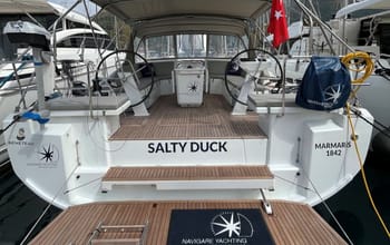 SALTY DUCK