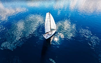 Sail la Vie